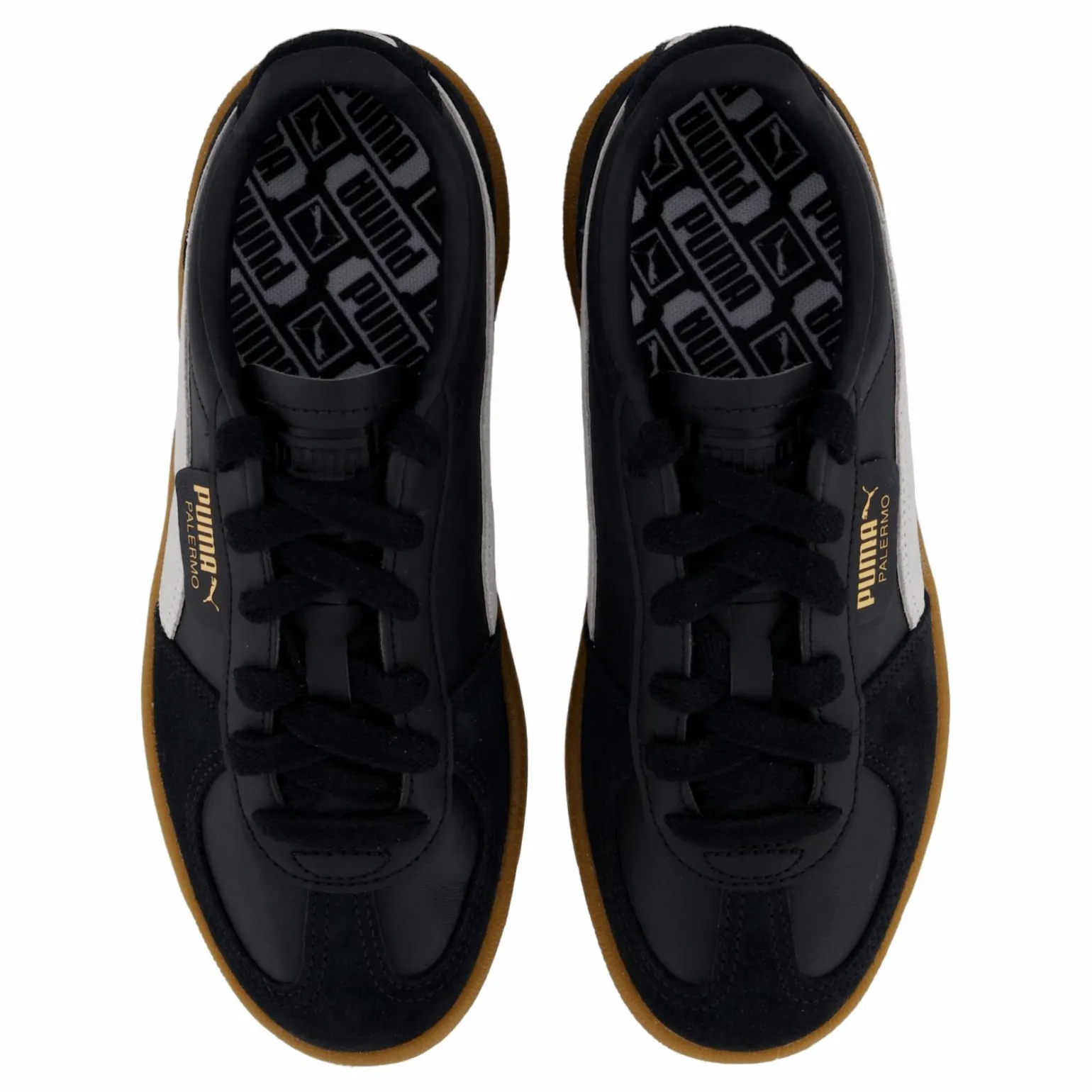 Palermo Black-feather Gray-gum