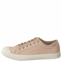 Pallaphoenix Og Cvs Rose Dust