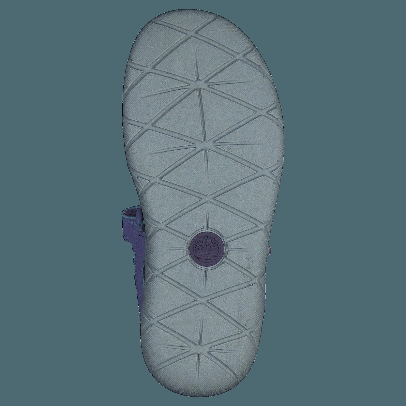 Perkins Row 2-strap Violet Tulip