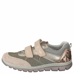 Phl 13729 Skin/corda