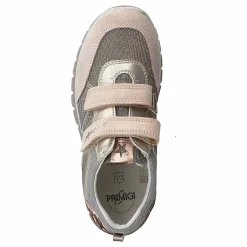 Phl 13729 Skin/corda