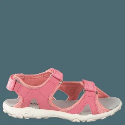 Rio Tx Strawberry Rose