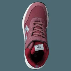 Root Tex Jr Deco Rose