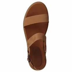 Safari Dawn 2band Rust