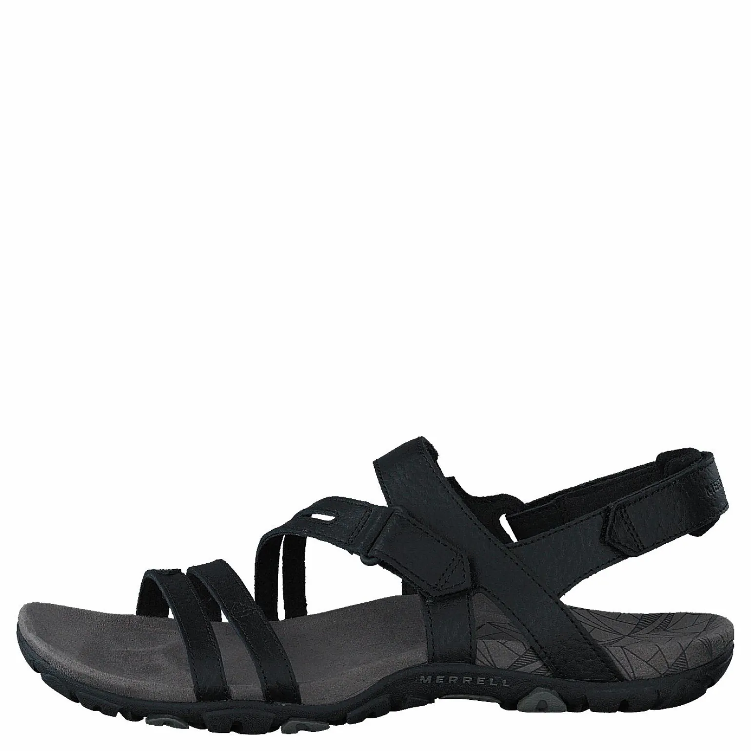 Sandspur Rose Convert Black