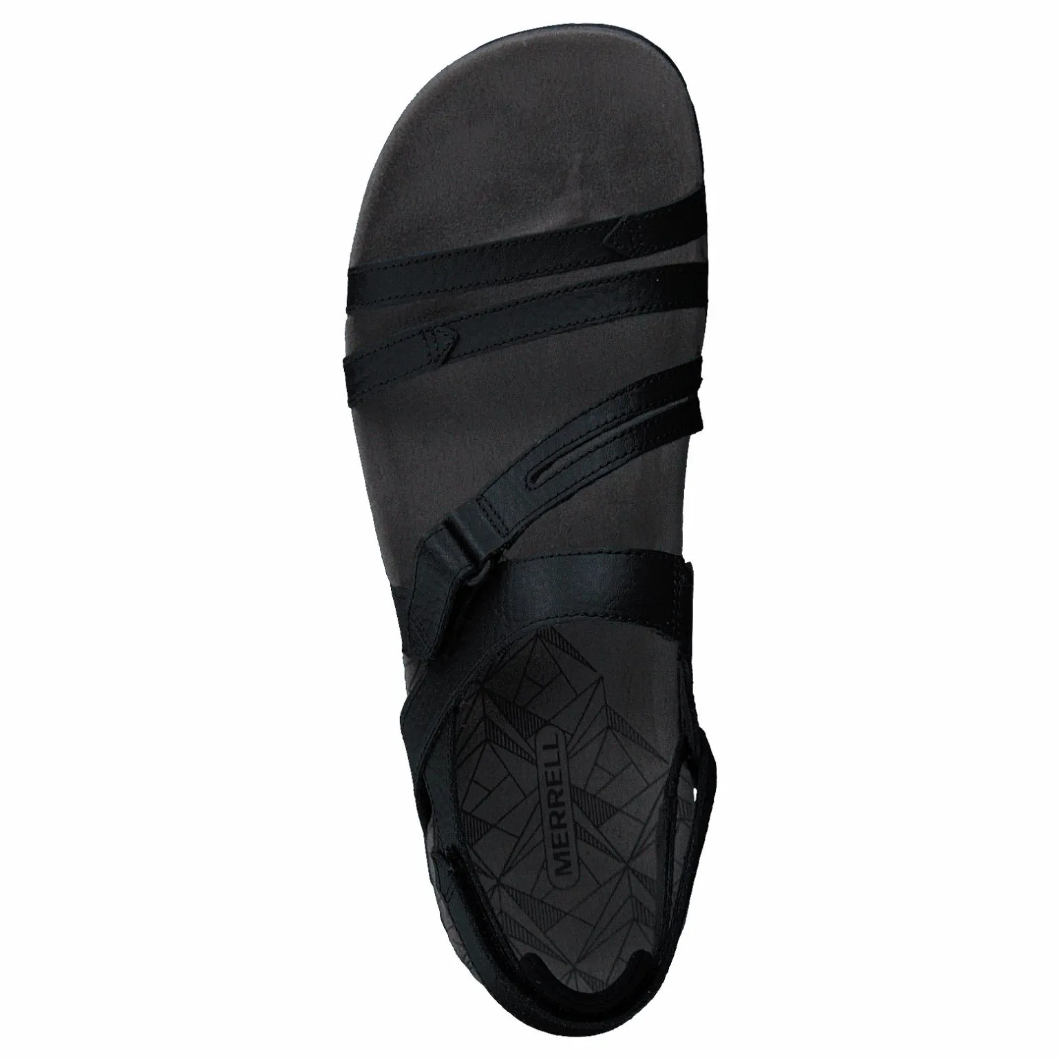 Sandspur Rose Convert Black