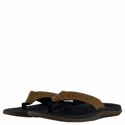 Santa Ana Le Black And Tan