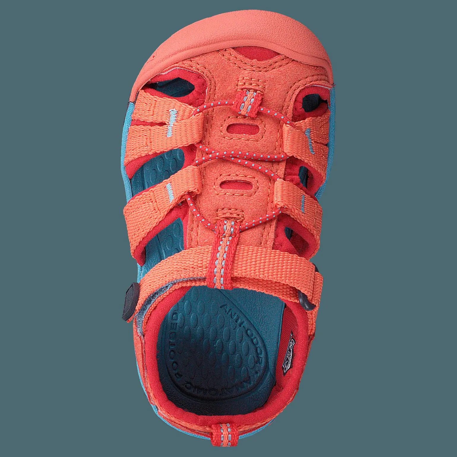 Seacamp Ii Cnx Tots Coral/poppy Red