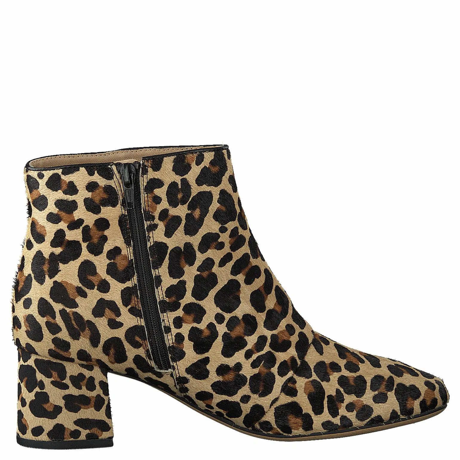 Sheer Flora Leopard Print