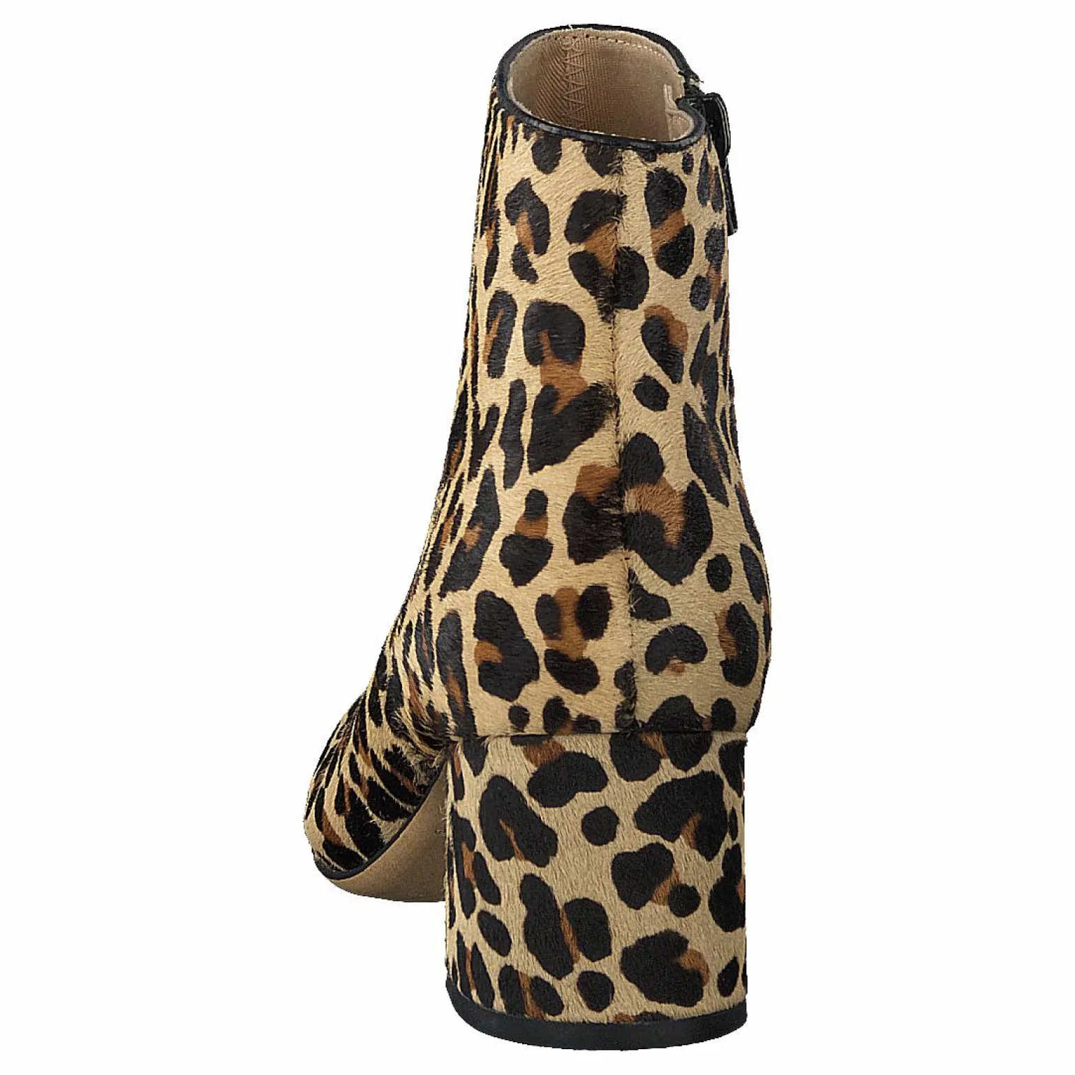Sheer Flora Leopard Print
