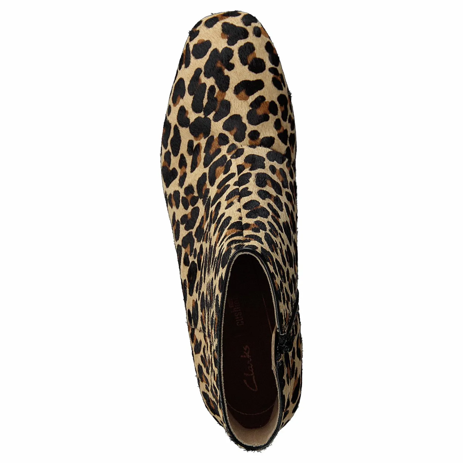 Sheer Flora Leopard Print