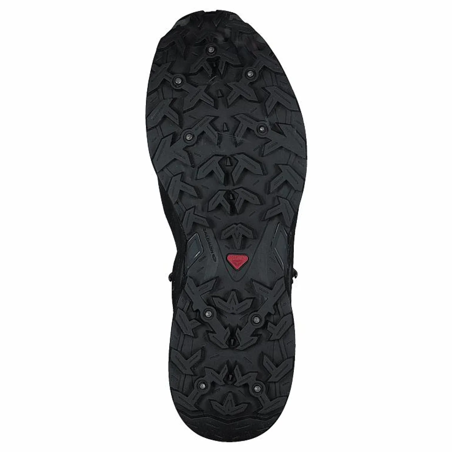 Shelter Spikes Cs Wp W Black/ebony/wine Tasting