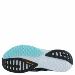 SL20 Shoes Core Black / Silver Metallic / Clear Aqua