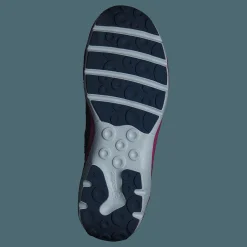 Sport5 Gtx Blue/pink