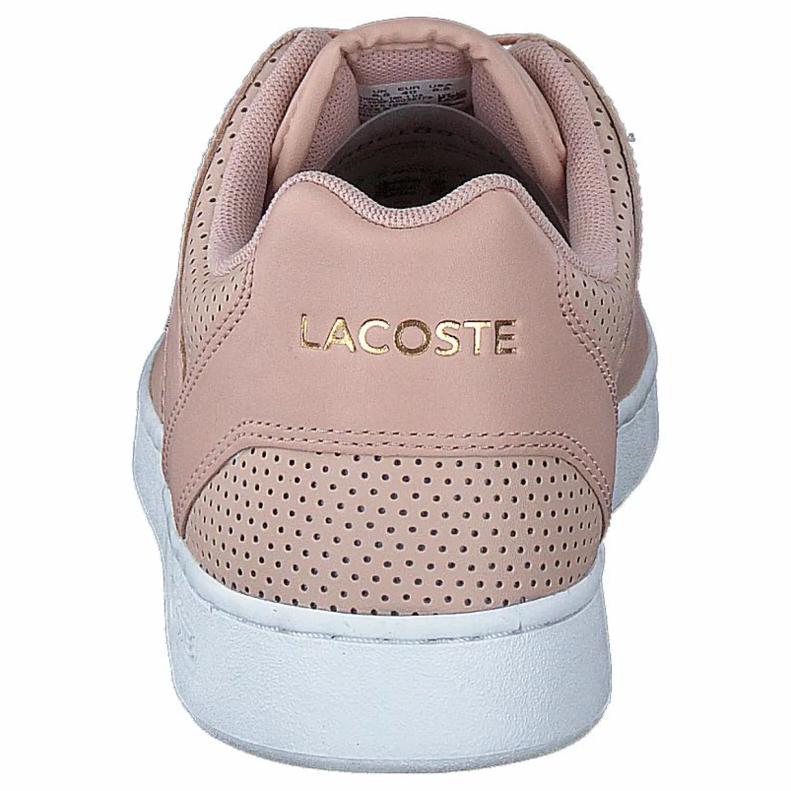 Thrill 120 1 Us Sfa Nat/wht