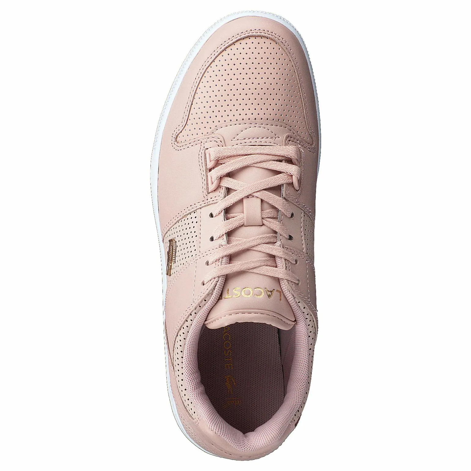 Thrill 120 1 Us Sfa Nat/wht