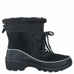 Torino 010 Black Light Bisque