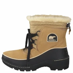 Torino 373 Curry Black