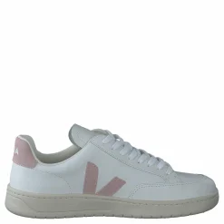 V-12 Extra-white Babe