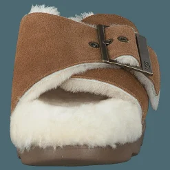 W Outslide Buckle Chestnut Suede