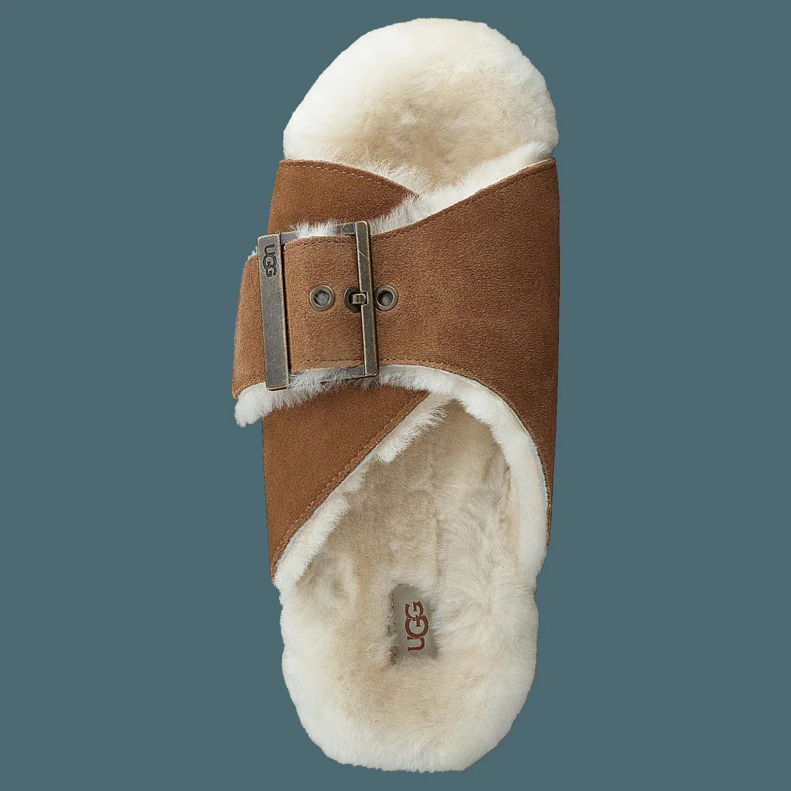 W Outslide Buckle Chestnut Suede