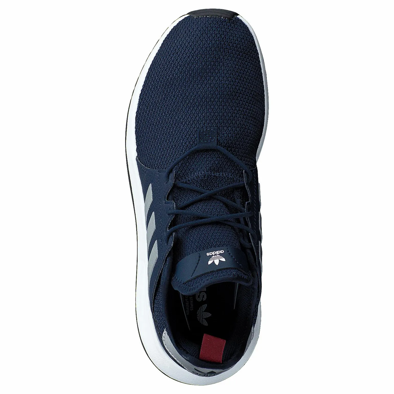 X_plr Conavy/silvmt/cburgu