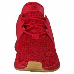 X_plr Scarle/scarle/gum3